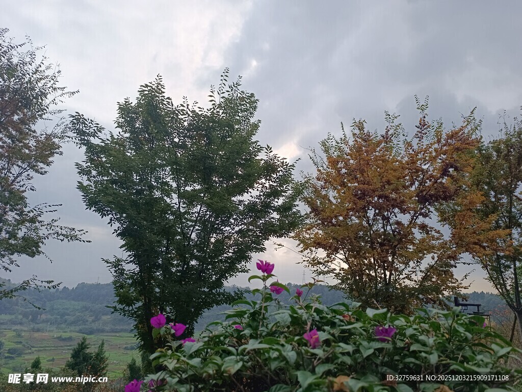 山间多彩植物景观