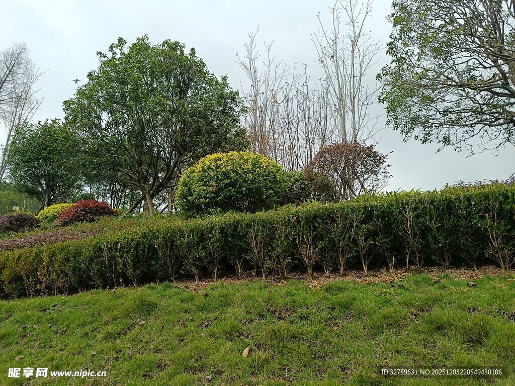 绿意盎然的园林景观