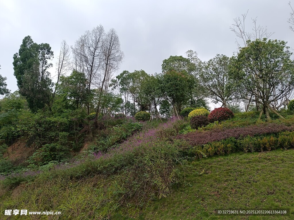 郊外绿意盎然的自然景致