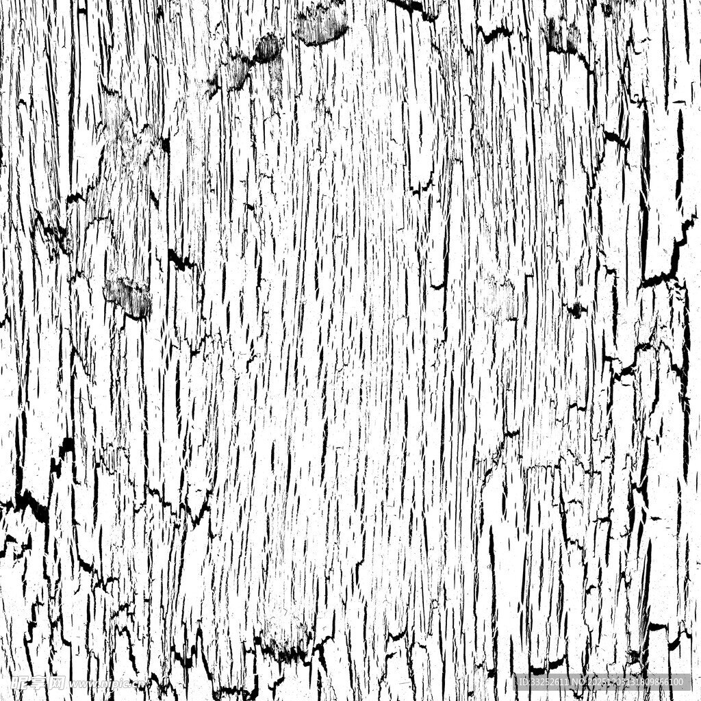 树皮纹理黑白艺术图案