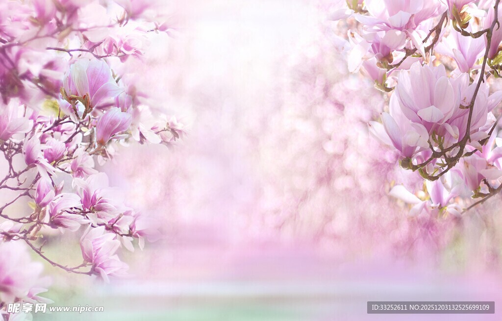 浪漫粉色玉兰花景