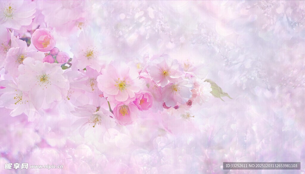 梦幻粉色樱花背景图