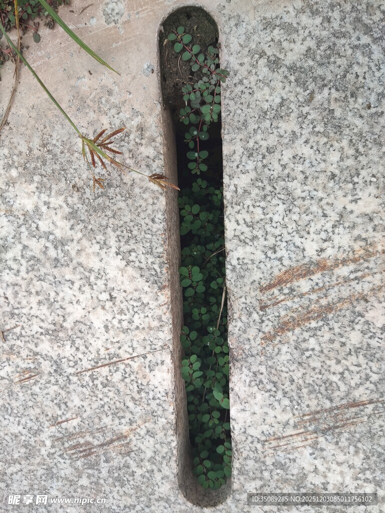 古朴墨绿色长柄物件