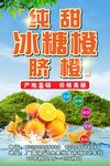 纯甜冰糖橙海报