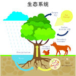 生态系统