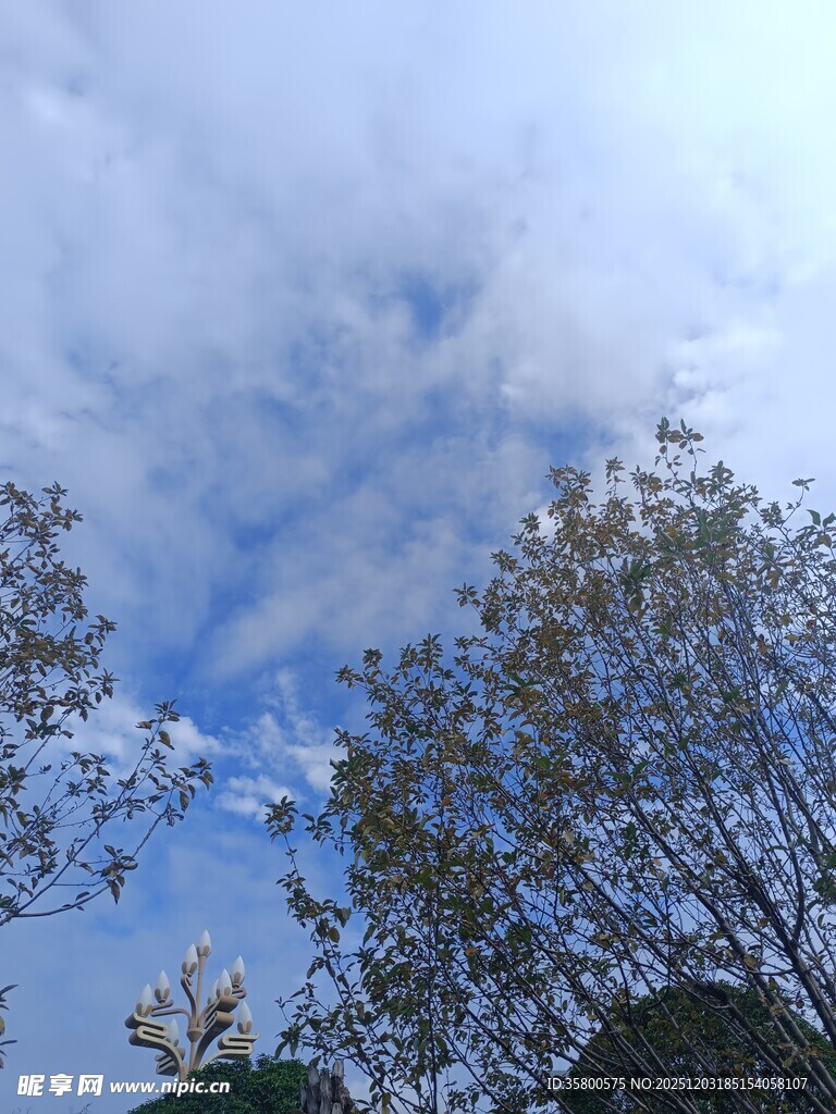 蓝天绿树间的清新景致