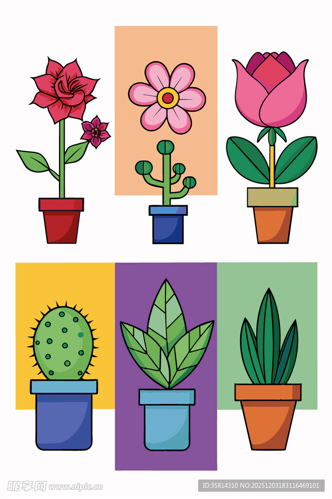 多彩盆栽花卉与仙人掌组合