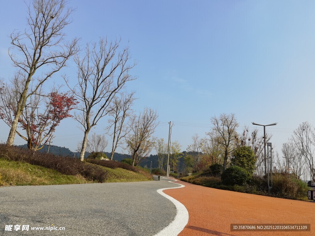 秋日公路旁的多彩景致