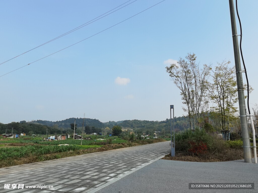 乡村公路旁的田园风光