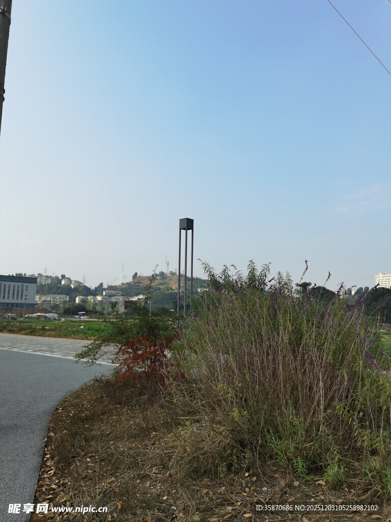 郊外小路旁的绿植与高塔