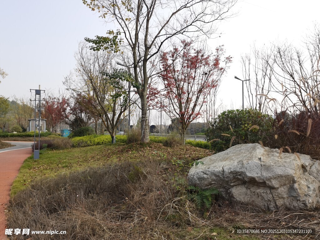 公园小径旁的自然景致