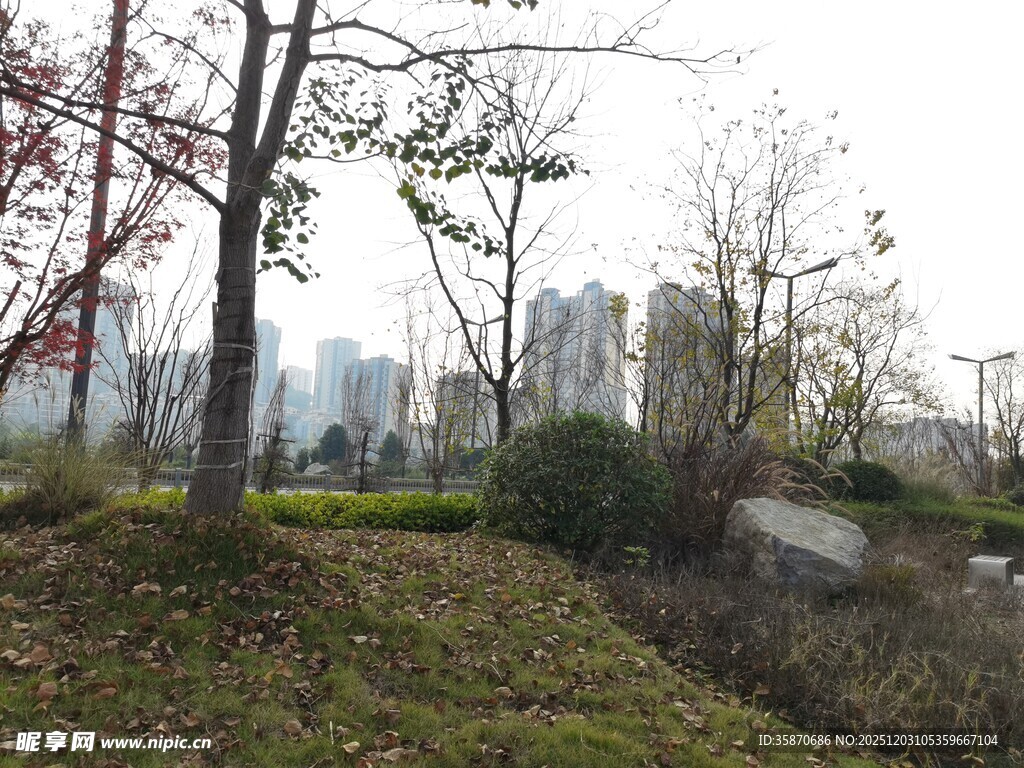 城市冬日公园景致