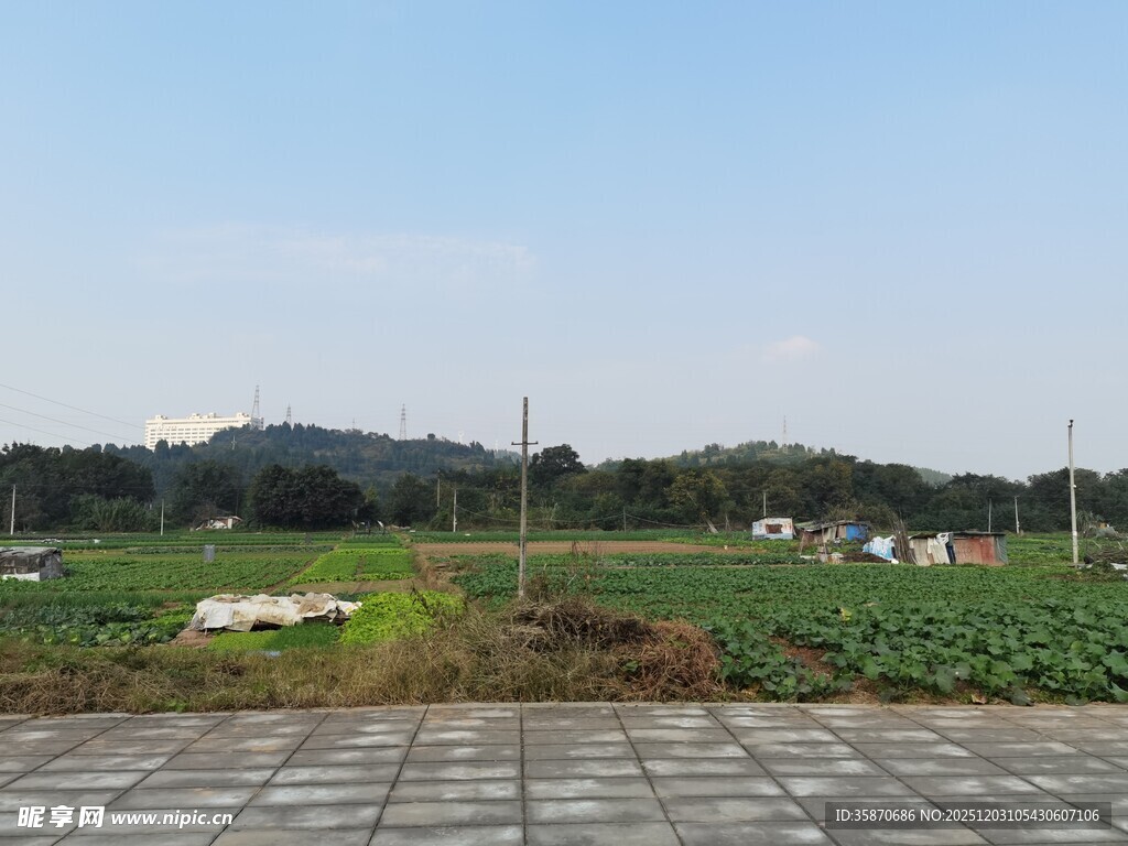 田园风光中的农田与远景