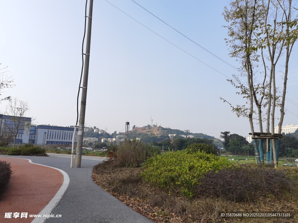 城市中的蜿蜒小路与绿植