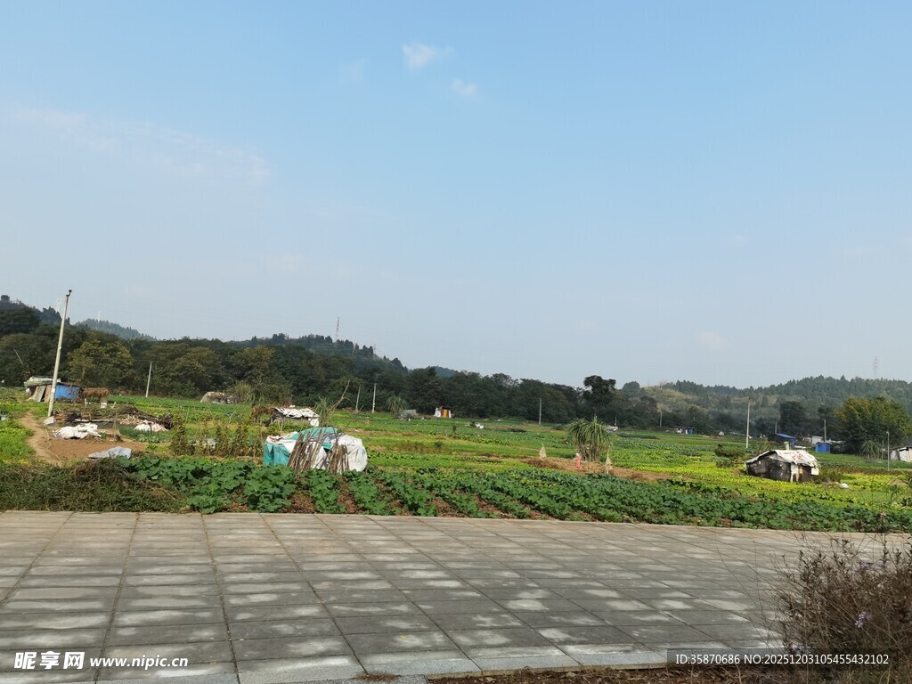 田园风光中的开阔场地