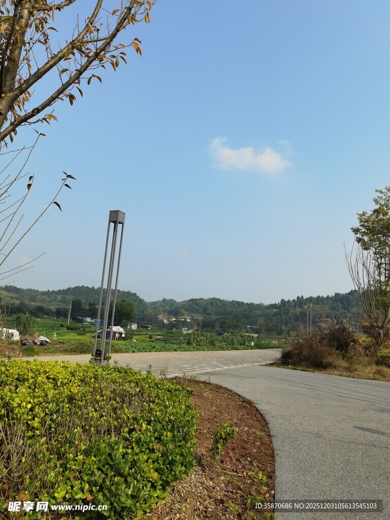 蜿蜒小路旁的清新自然景