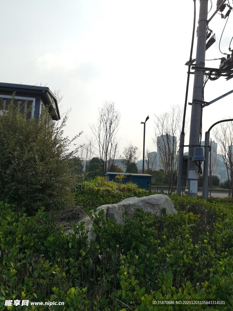 户外绿植与设施景观