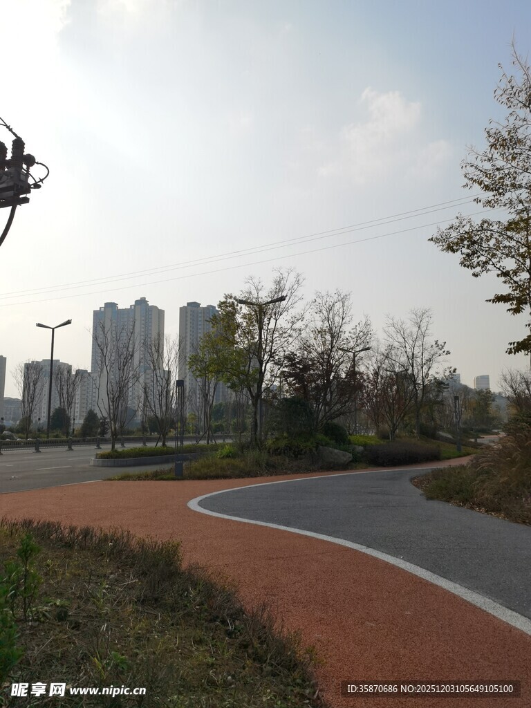 城市公园中的蜿蜒步道