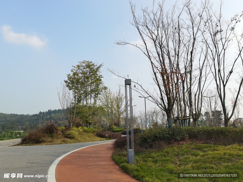 蜿蜒小路旁的自然景致