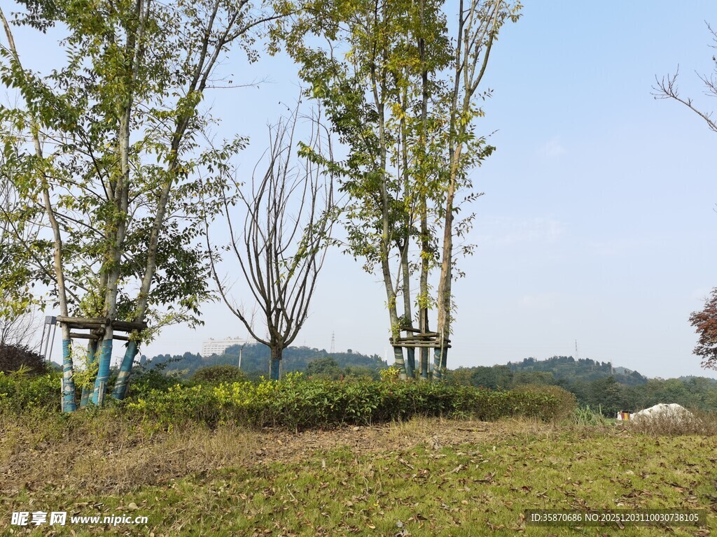 郊外绿意盎然的自然景致
