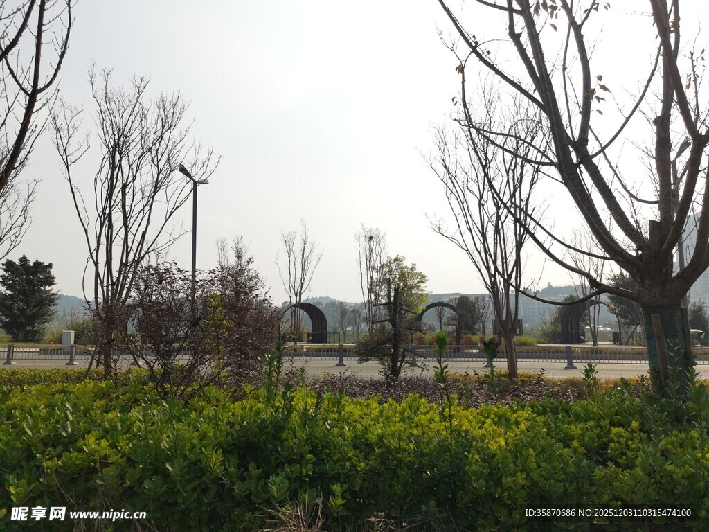 春日城郊花木初绽之景