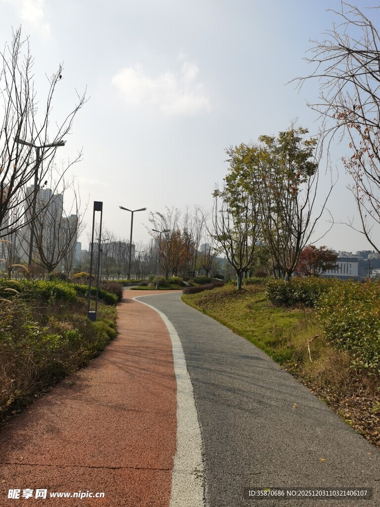 城市公园中的休闲骑行道