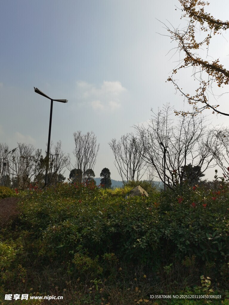 户外自然风景中的路灯