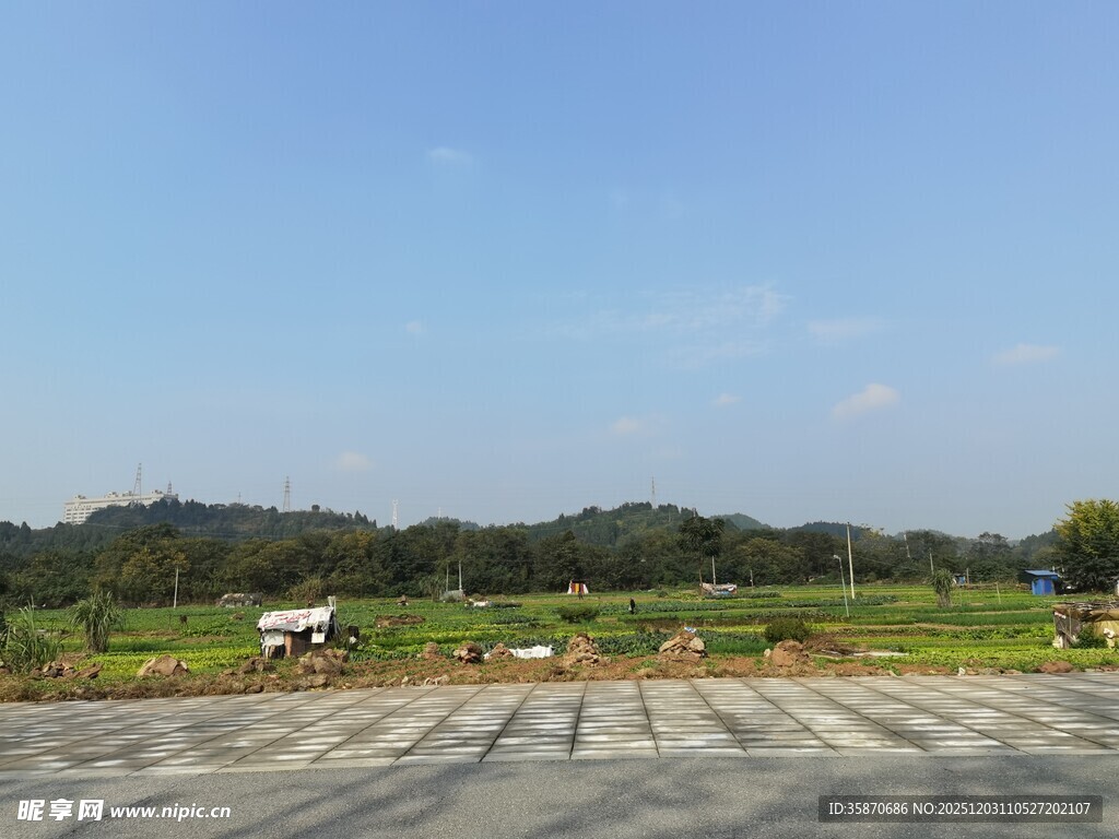 田野风光宁静开阔景象