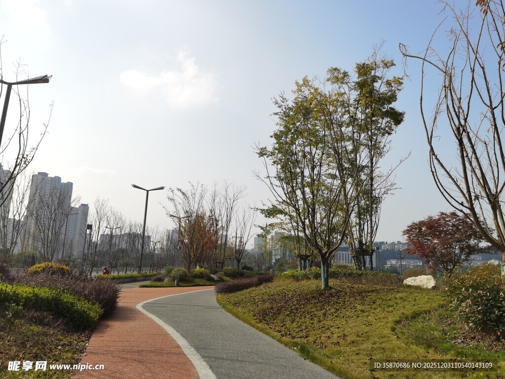 城市中的宁静蜿蜒小路