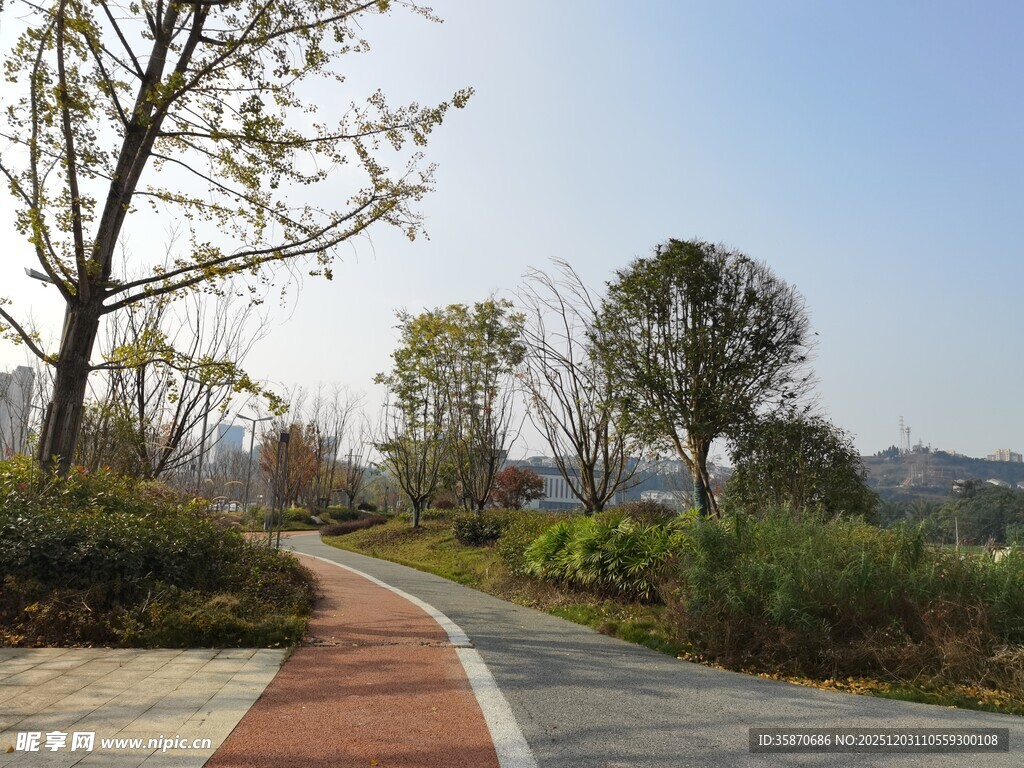 林间彩色步道自然好风光
