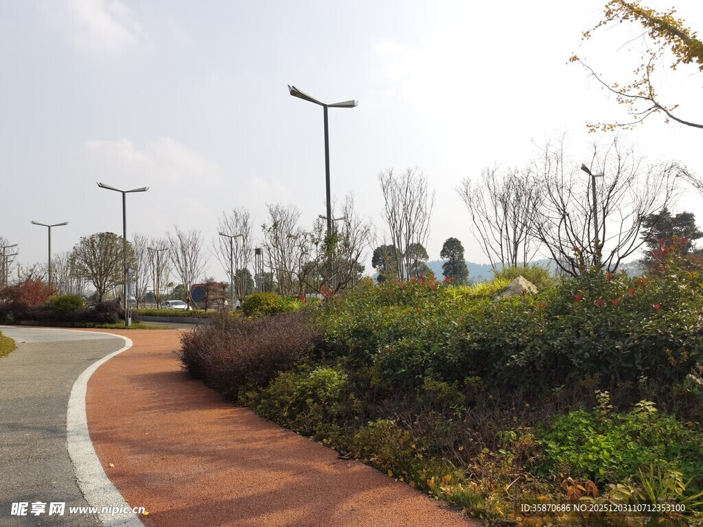 城市公园中的蜿蜒步道