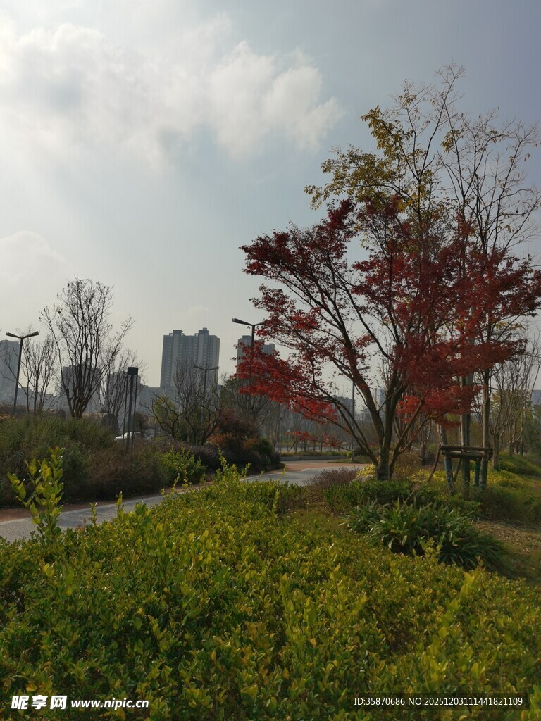 城市公园秋日美景
