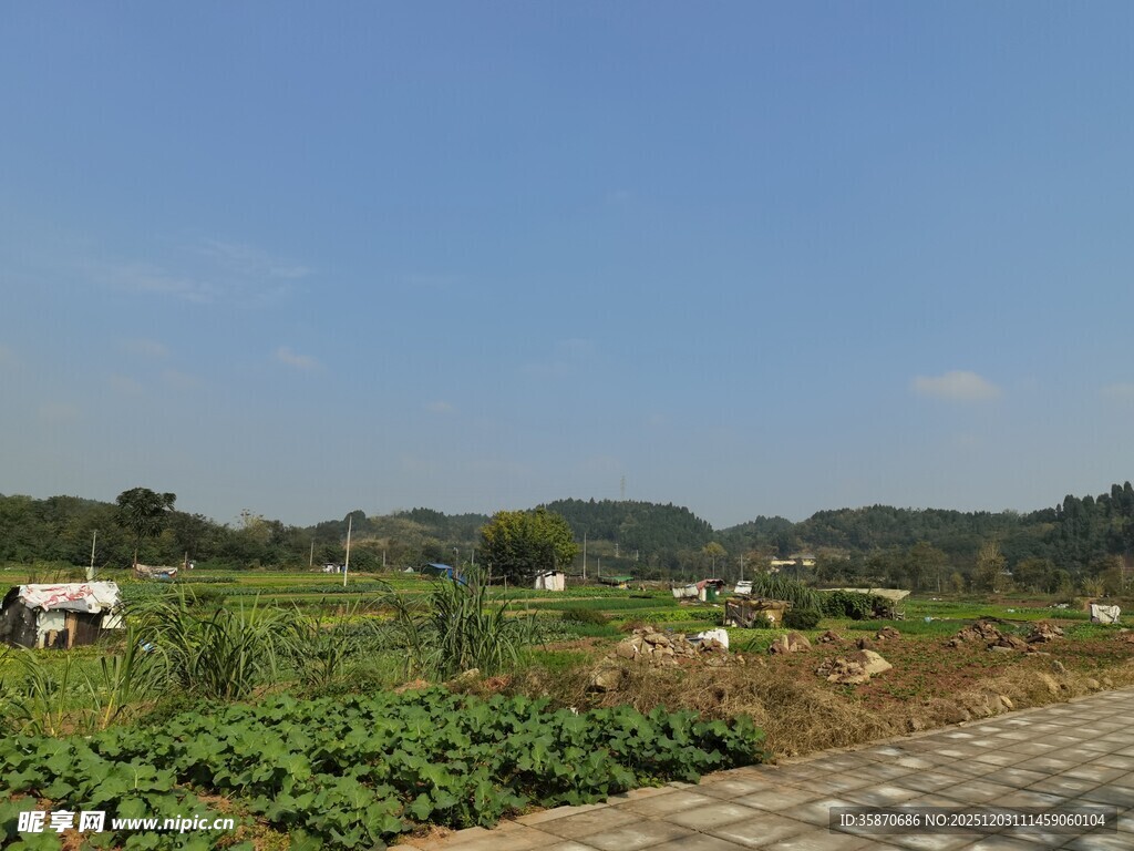 乡村田园风光美景