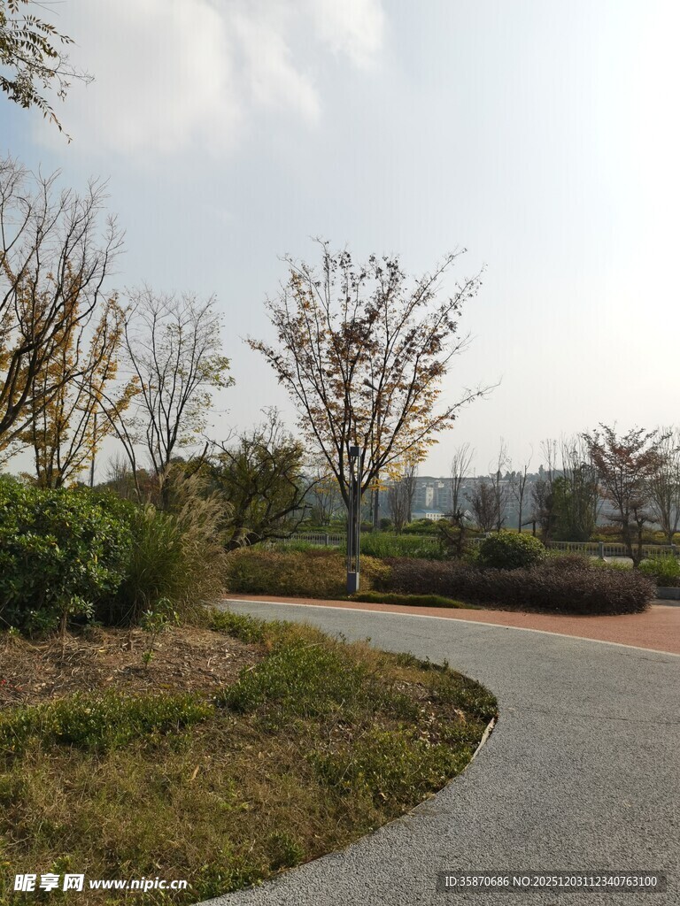 蜿蜒小路旁的自然景致