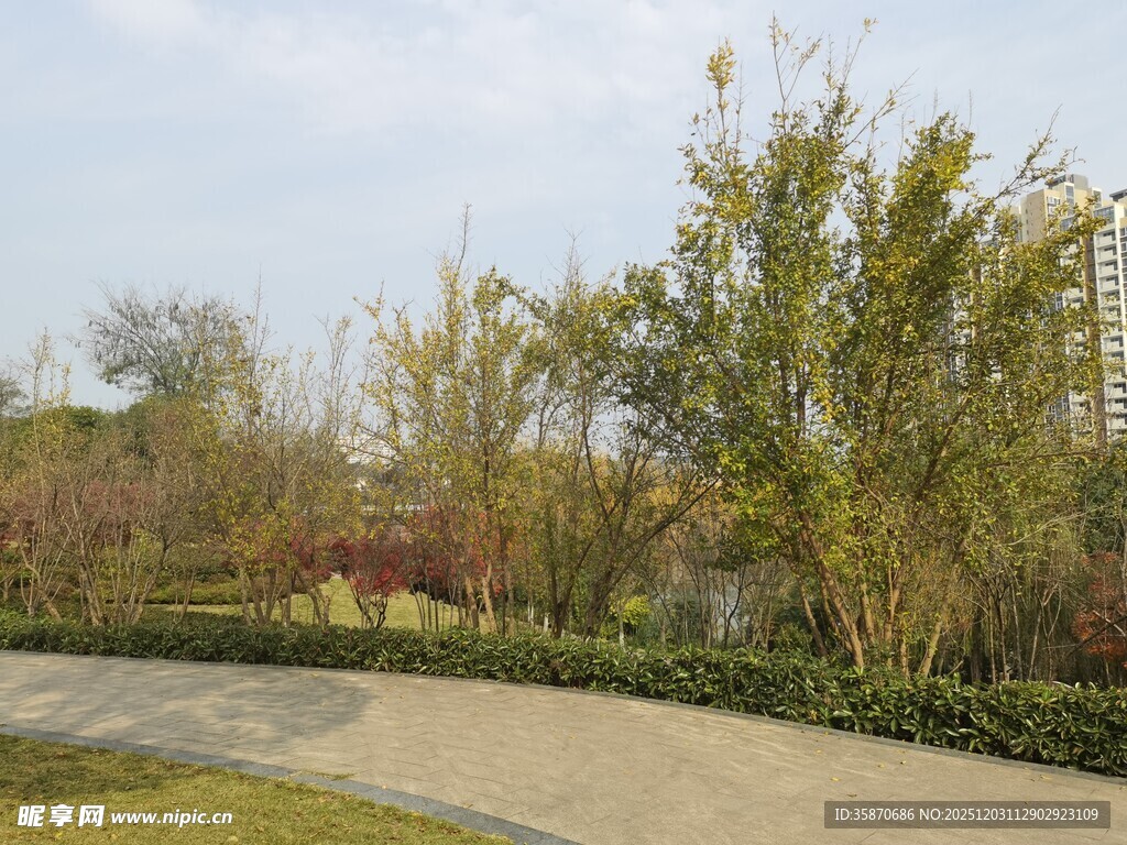 园林小径的自然景致