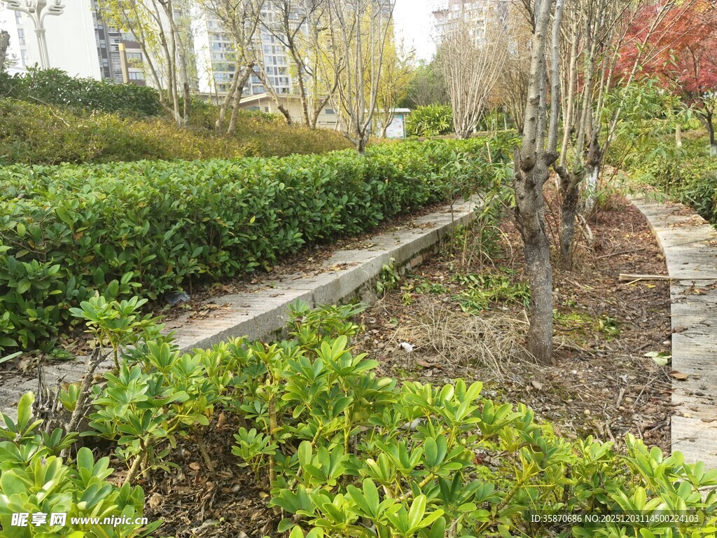 城市绿化带景观