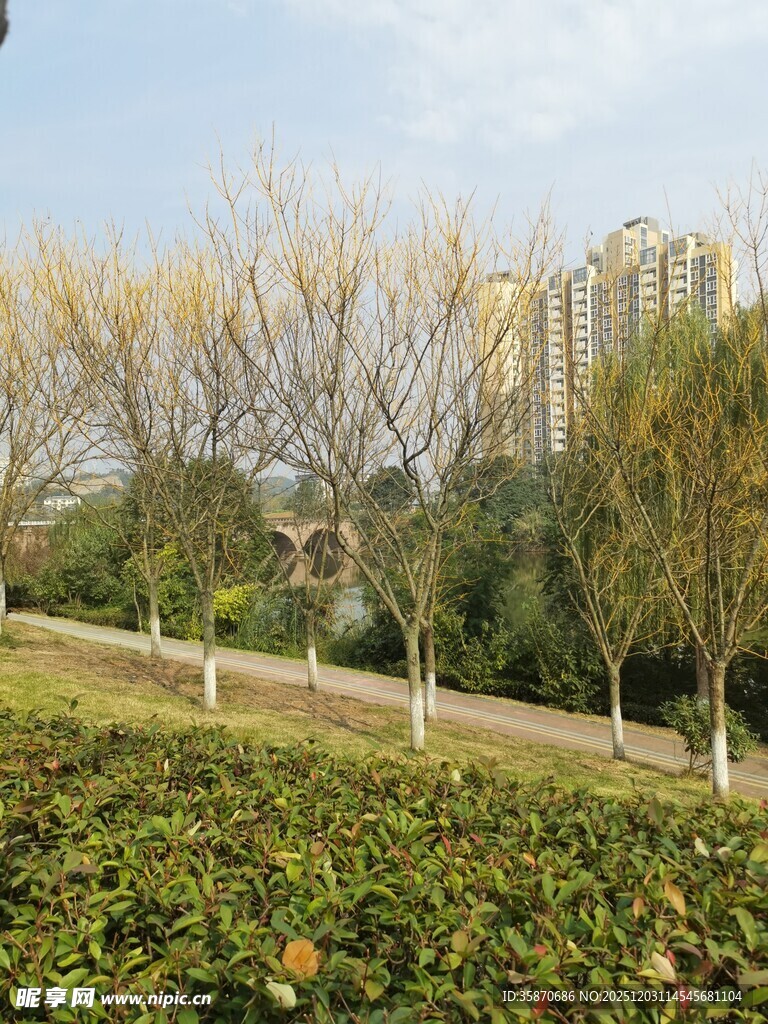 城市公园秋日风景