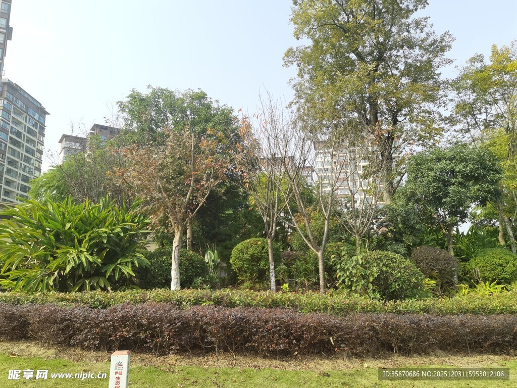 城市中的绿意盎然景观