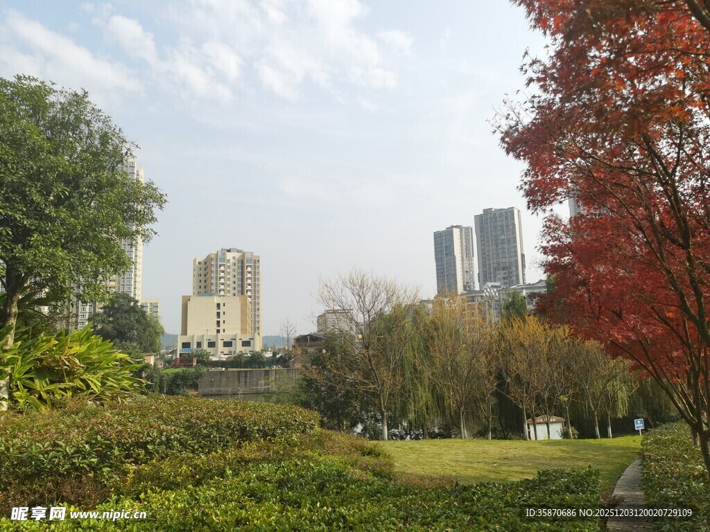 秋日公园与远处高楼景观