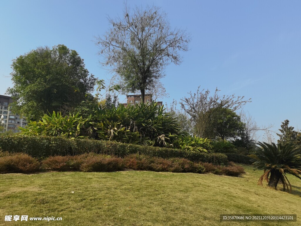 户外绿意盎然的自然景观