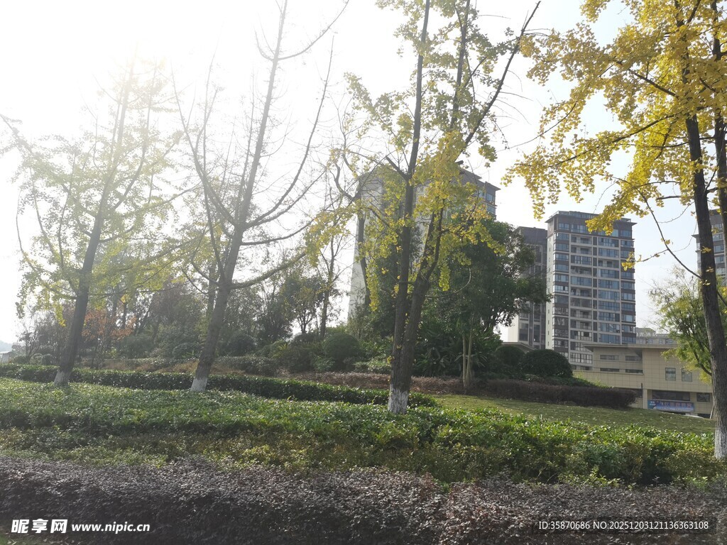 秋日林间的静谧古老建筑