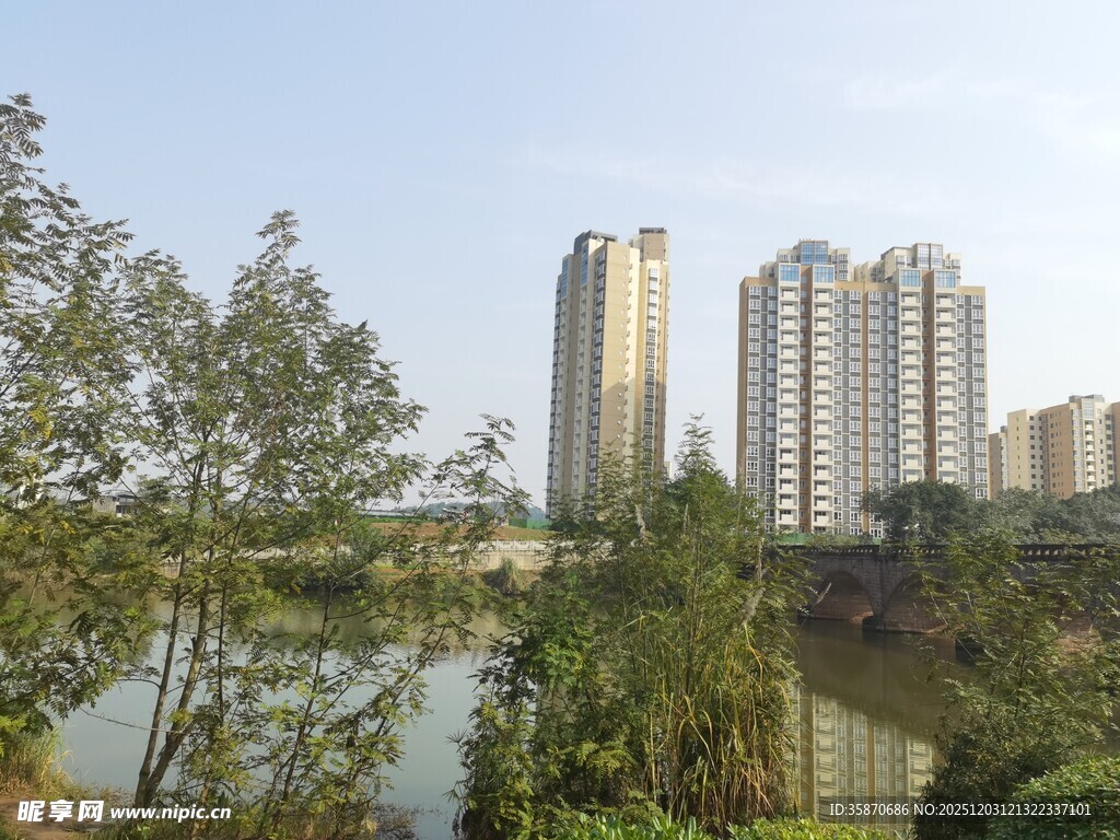 湖畔高楼与葱郁绿植景观