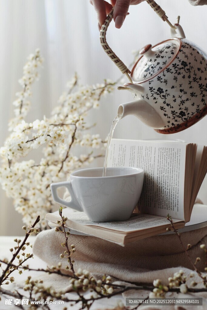 雅致茶具与自然元素摆件