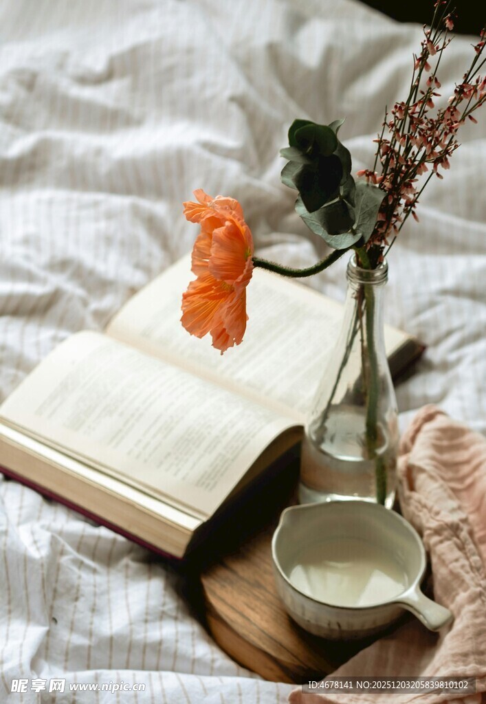 书本上的秋日温馨静物