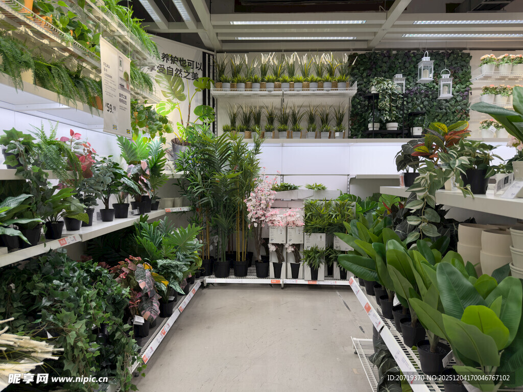 室内绿植繁茂的植物空间