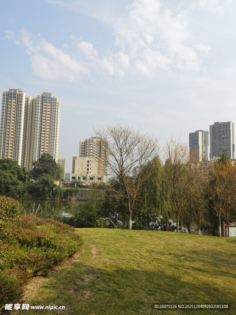 城市绿地旁的高楼景观