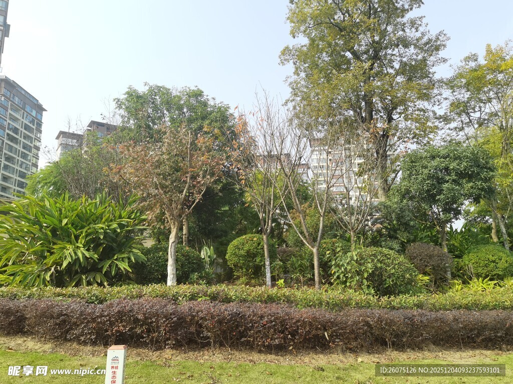 城市中的绿意盎然景观