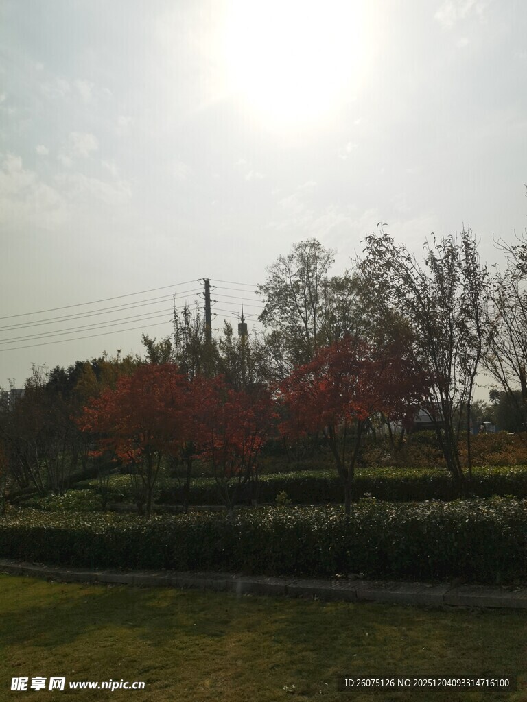 秋日公园阳光风景