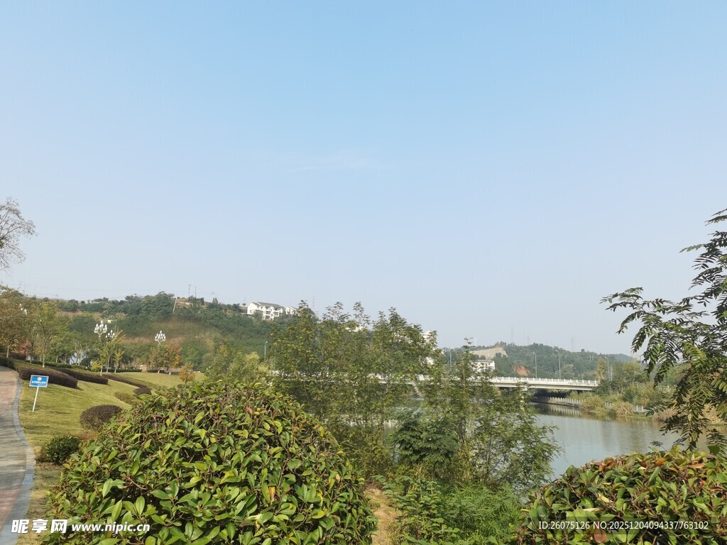 湖畔绿植环绕自然风光