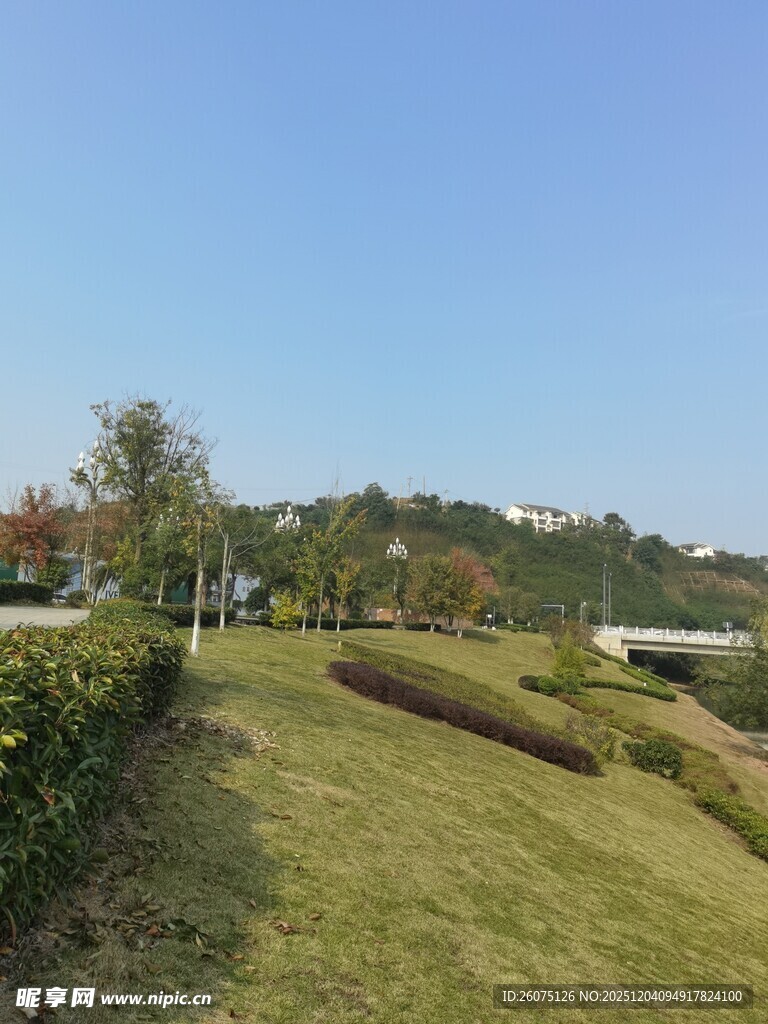 户外清新草地景观